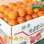甘くて味濃い香川産の温州みかん5kg