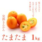 完熟 きんかんたまたま 1kg