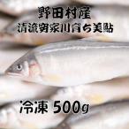 清流安家川育ち美鮎 500g