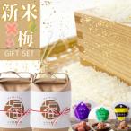 ふるさと納税 かすみがうら市 茨城県産『常陸乃梅』梅干し3種 & ふくまる厳選米 精米 2kg×2袋