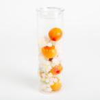 蝶矢梅キットLサイズ 6杯分 完熟南高×こんぺい糖