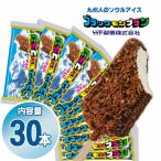 ふるさと納税 小城市 ブラックモンブラン30本セット