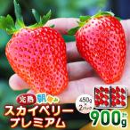 完熟朝摘みスカイベリー プレミアム 450g×2パック
