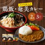 鶏飯 パパイヤ入り奄美カレー3袋セット