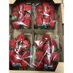 ふるさと納税 小豆島町 小豆島女峰いちご 230g×8パック