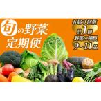 湯の花 旬の野菜セット 9~11品