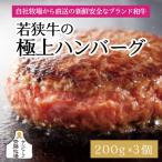 若狭牛の極上ハンバーグ 200g