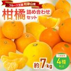 柑橘詰め合わせセット 4種以上