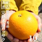 和歌山産 完熟木なりハッサクみかん 秀品