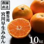 和歌山産 宮川早生 みかん 秀品 約10kg箱入り