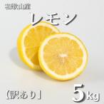 レモン 約5kg