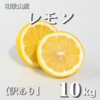和歌山産 レモン 10kg