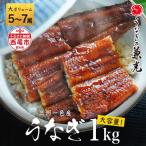 ふるさと納税 西尾市 大満足1kg愛知県三河一色産うなぎ蒲焼き(5尾〜7尾)・U040-37