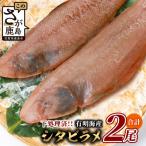 有明海産 シタビラメ約150g×2尾