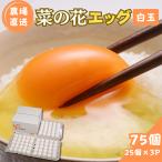 菜の花エッグ 白玉 75個