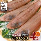 有明海産 シタビラメ約150g×4尾