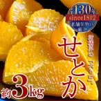 柑橘界の大トロ せとか 約3kg
