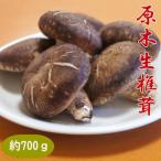 和歌山有田産原木生しいたけ約700g