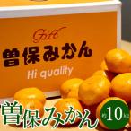 ふるさと納税 三豊市 【2025年11月上旬より順次発送】希少!最高峰「曽保みかん」約10kg