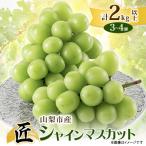 ふるさと納税 山梨市 山梨市産シャインマスカット(匠) 3〜4房 (2kg以上)