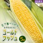 ふるさと納税 富良野市 2026年先行予約 生で食べられるトウモウロコシ ゴールドラッシュ 5本入り