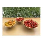 fu.... налог Тоёакэ город новый мини помидоры ... смешанный набор 