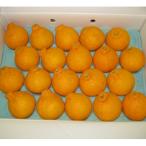 ご家庭向け 不知火 しらぬひ 約5kg