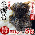 知多半島から直送 生海苔 冷凍 新物 500g×8袋