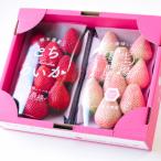 紅白いちご とちあいか ミルキーベリー 大粒