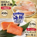 ふるさと納税 泉佐野市 サーモン・国産活〆 真鯛 お刺身セット 099H2519
