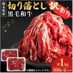 <訳あり>黒毛和牛切り落とし計1kg 500g×2パック