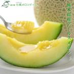 ふるさと納税 菊池市 【2025年7月下旬より順次発送】七城メロンドーム アールスメロン2玉