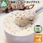ふるさと納税 弟子屈町 くりーむ童話のカップアイスクリーム チョコチップ 100ml×6個 北海道 弟子屈町 2335