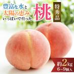 ふるさと納税 九度山町 先行受付! 旬の桃 (特秀品) 約2kg 6〜9個入