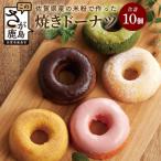 米粉使用 焼きドーナツ10個入り 5種類×各2個