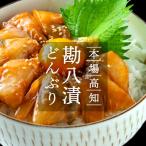 高知の丼の素 カンパチの漬け 1食