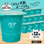 くまもと半熟よーぐるちょ100g×12本