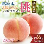 ふるさと納税 和歌山市 先行受付! 桃 (特秀品) 約2kg 6〜9個入