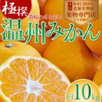 みかん 訳あり 温州みかん 柑橘