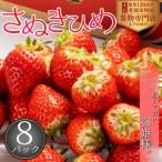 紅くて甘~い♪さぬき姫いちご 8パック