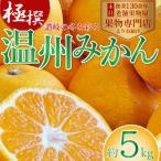 温州みかん フジカワ 柑橘