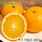 産紅八朔約5kg サイズ混合 ★2027年1月下旬頃