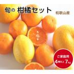 柑橘詰め合わせセット 4種以上