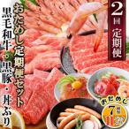 ふるさと納税 枕崎市 定期便2回配送 鹿児島県産黒毛和牛・黒豚・漬丼 お試し定期便セット DD-6007