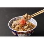 牛丼の具 150g×10パック