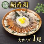 びわ湖産天然 鮒寿し 大サイズ