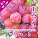訳あり 岡山ぶどう 2kg