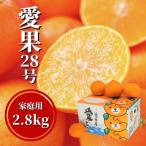 約2.8kg