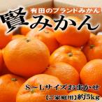 有田産樹上越冬完熟みかん約5kg