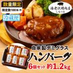 自家製デミグラスハンバーグ6個入り 1200g